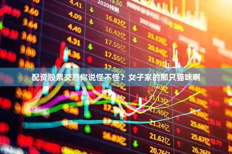 配资股票交易你说怪不怪？女子家的那只猫咪啊