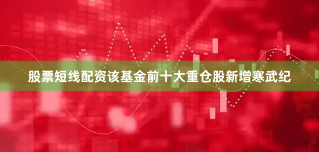 股票短线配资该基金前十大重仓股新增寒武纪